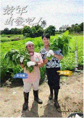 奔跑吧第十季